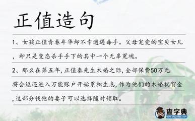 正值造句