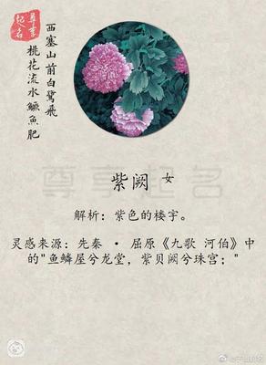 形容心情舒畅的成语