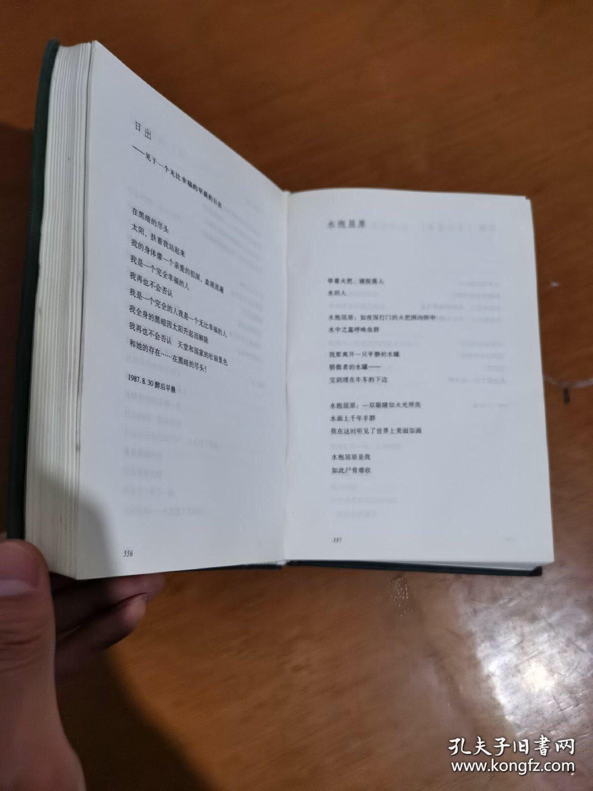 海子的诗日记
