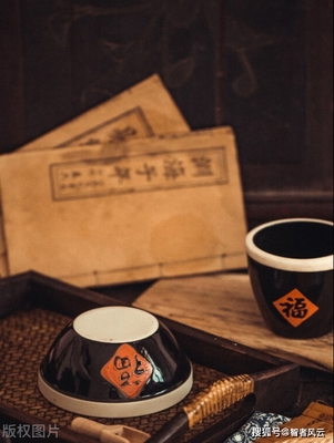 插字开头的成语