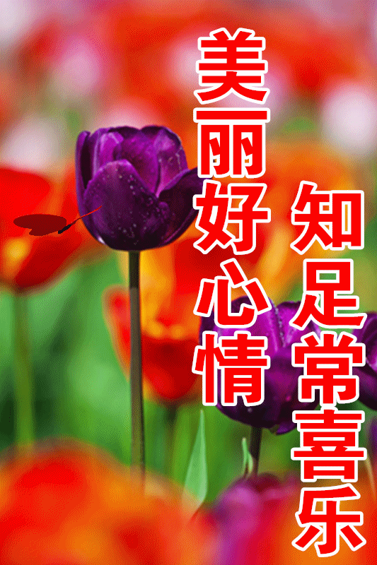 健康祝福