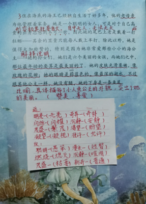 海的女儿读书笔记摘抄