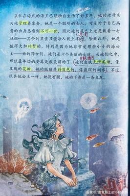 海的女儿读书笔记摘抄