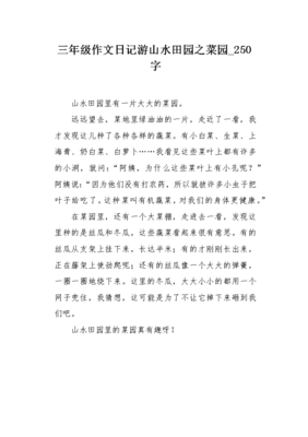 250字日记