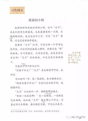 习作范文