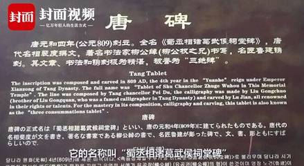 唐开头的名字