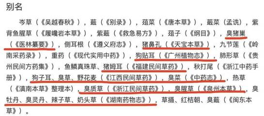 唐开头的名字