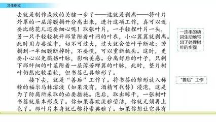 习作范文