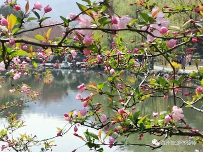 春日记