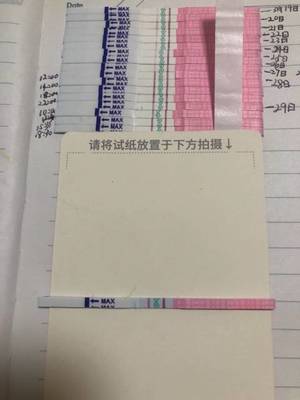 每天一个日记