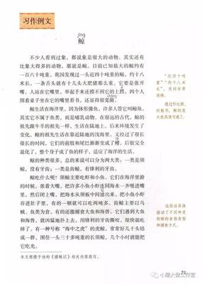 习作范文
