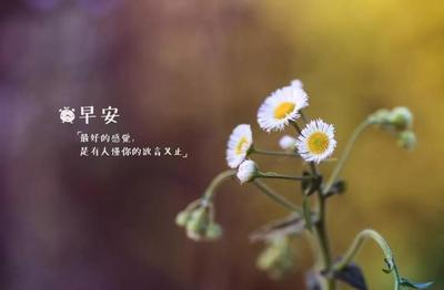 家的感觉心情说说