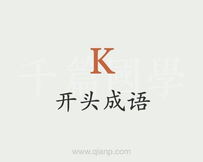 n开头的成语