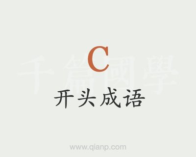n开头的成语