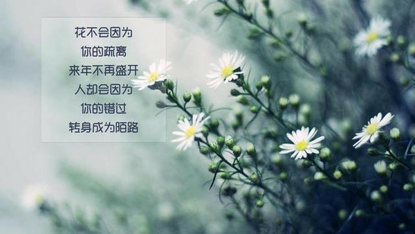感慨人生