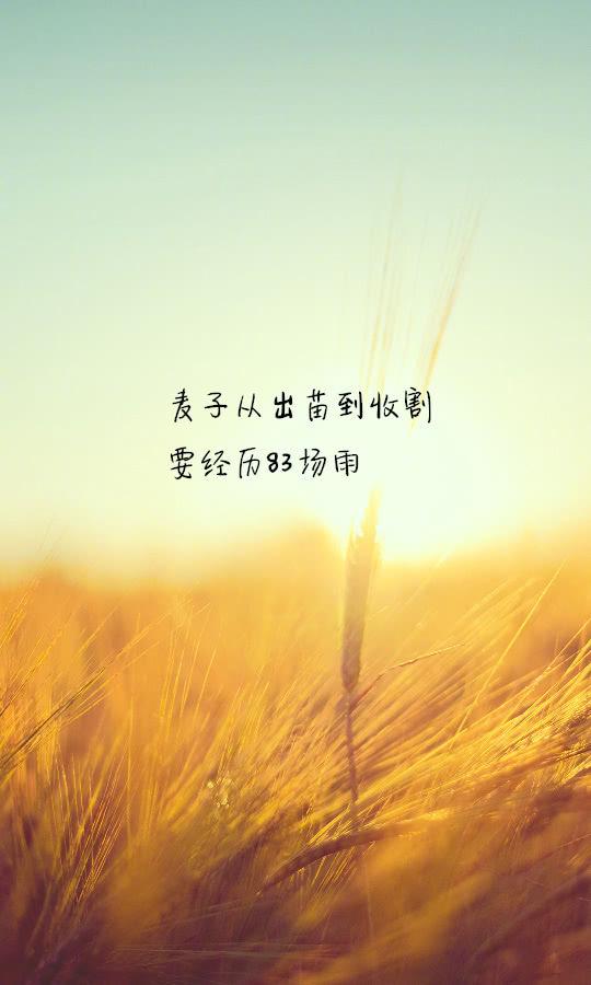 感慨人生