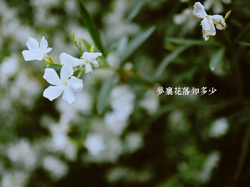好听励志的微信昵称