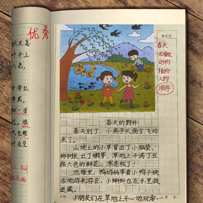 二年级写话爱护树木