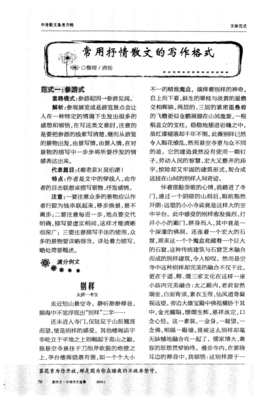 抒情散文怎么写