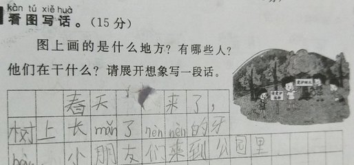 二年级写话爱护树木
