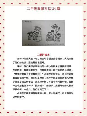 二年级写话爱护树木