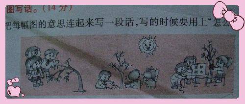 二年级写话爱护树木