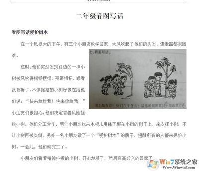 二年级写话爱护树木