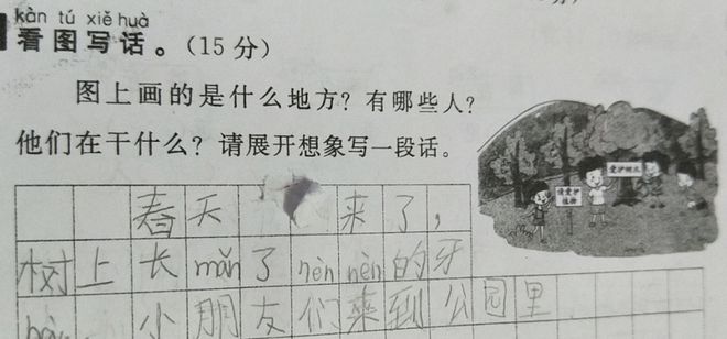 二年级写话爱护树木