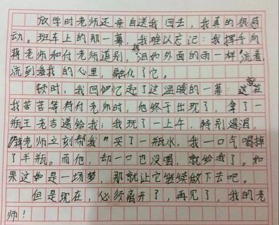 放学回家日记