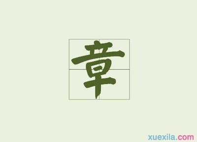 辞字开头的成语