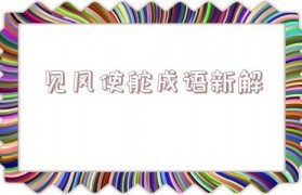 舵开头的成语