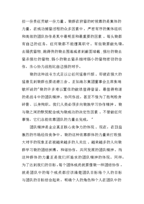 团队的力量演讲稿
