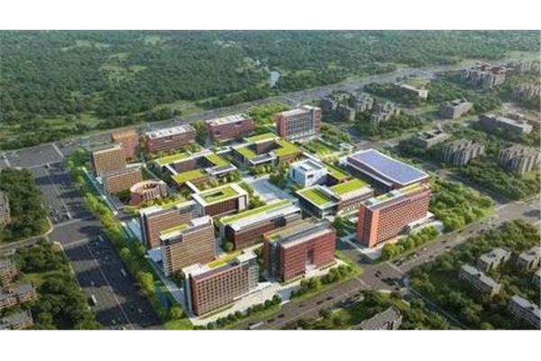 大学规划200字