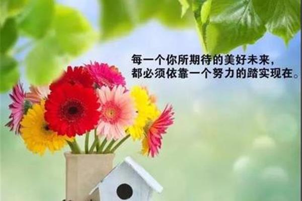 经典人生哲理语录