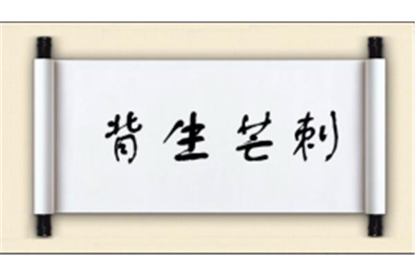 刺开头成语