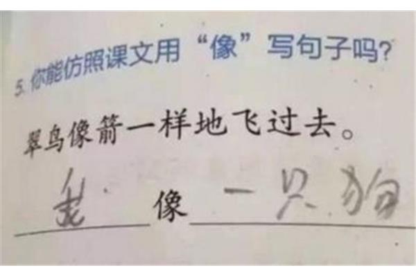 一什么不什么造句
