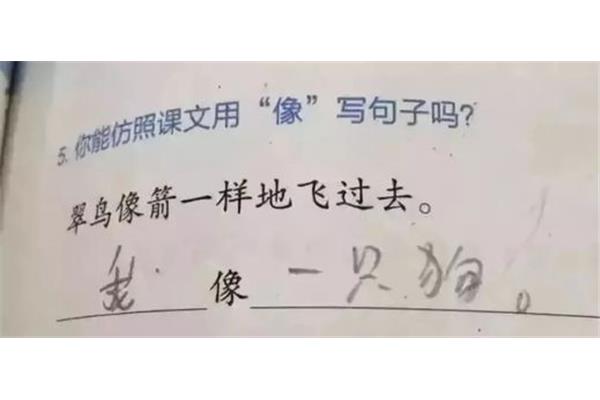 圆润造句