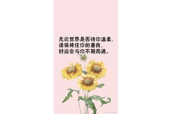 昨天今天明天人生感悟