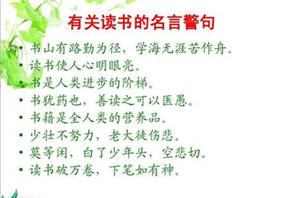 有关选择的名言警句