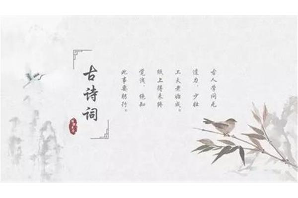用熠熠生辉造句