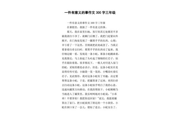 一件有意义的事200字