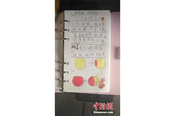 二年级日记小动物