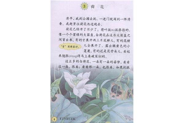 三年级下册语文书荷花课文