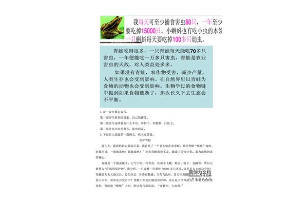 小蝌蚪教学反思