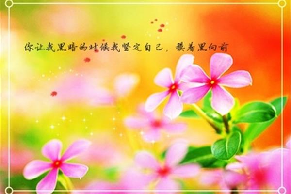 新开头的诗句