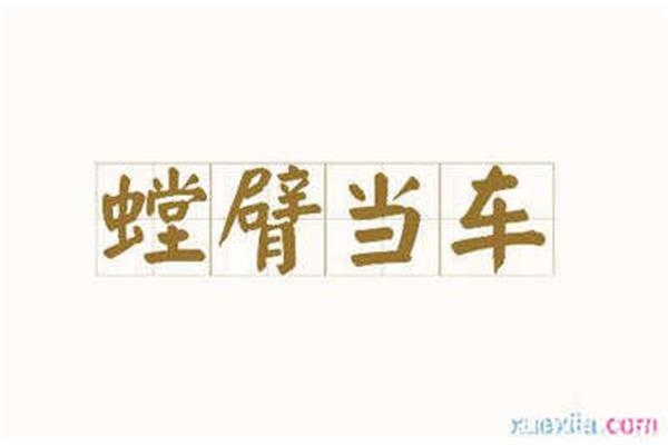 蚍蜉撼树造句
