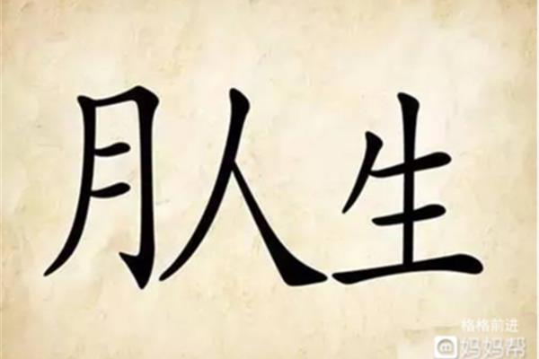 月人生打一成语疯狂看图猜成语