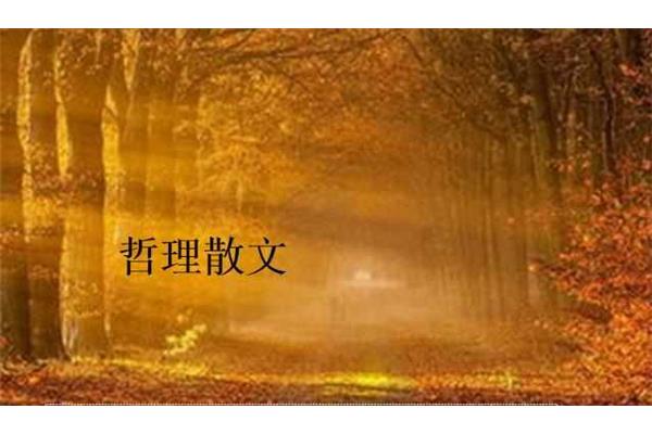 人生感悟的散文