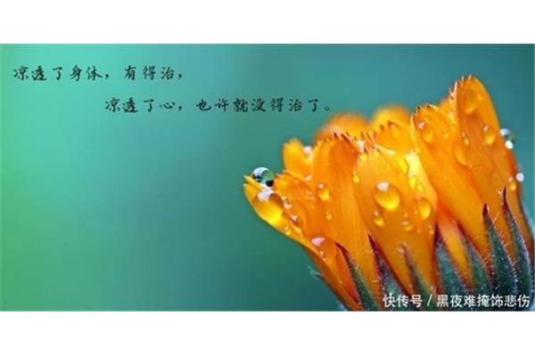 心彻底凉透了心情说说