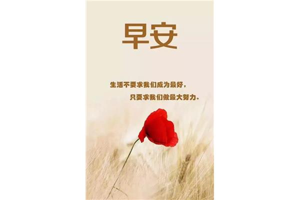 励志心灵鸡汤短句